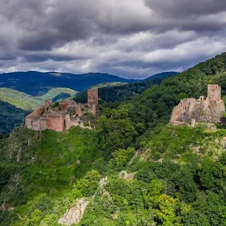 Les Hirondelles 6 Pers Apartment Ribeauvillé