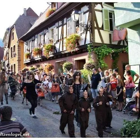 Les Hirondelles 6 Pers * Ribeauville (Haut-Rhin)