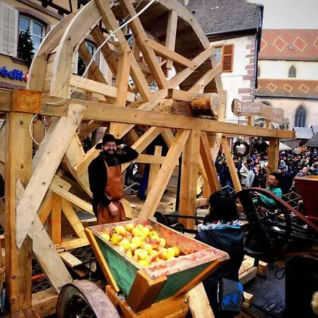 Les Hirondelles 6 Pers *